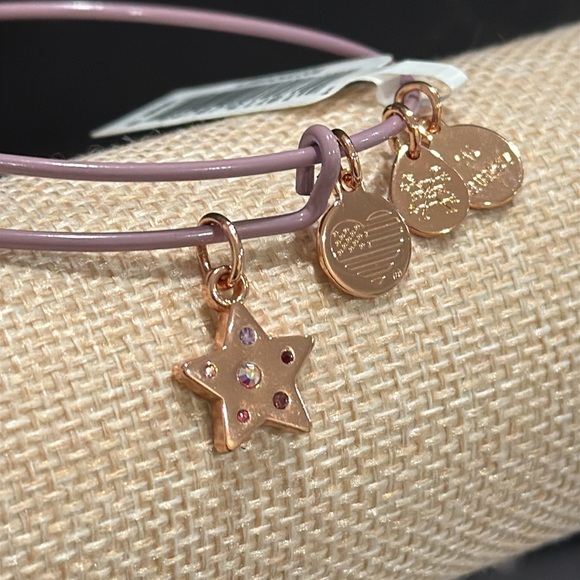 Alex and Ani Star Charm Purple Bangle Bracelet - Picture 4 of 7